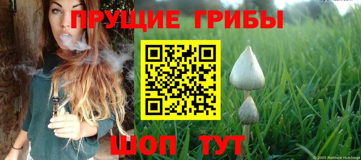 Грозный  дарнет шоп  Вход с VPN  Псилоцибиновые грибы мицелий 